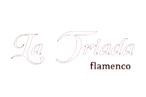 Centro de baile y Arte Flamenco